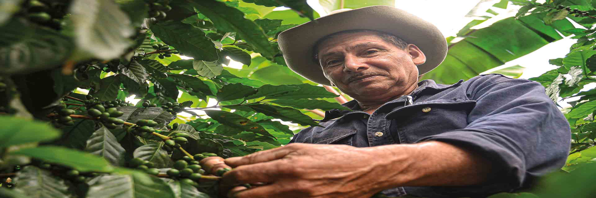 Rohit Farmer