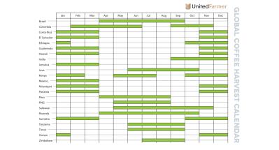 Specialty coffee harvest calendar with respect to coffee producing nations